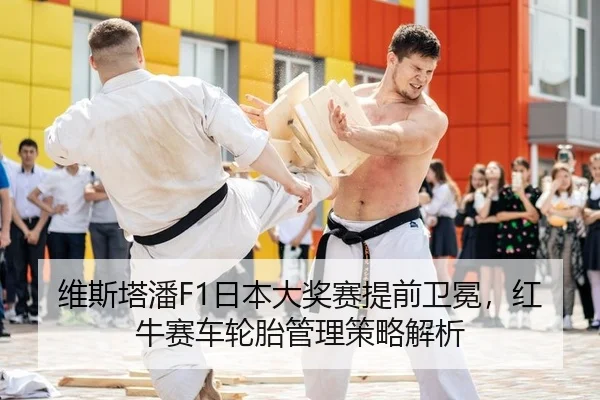 维斯塔潘F1日本大奖赛提前卫冕，红牛赛车轮胎管理策略解析